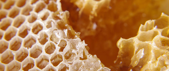 蜂胶含有哪些有效成分好,蜂胶是护胃的吗