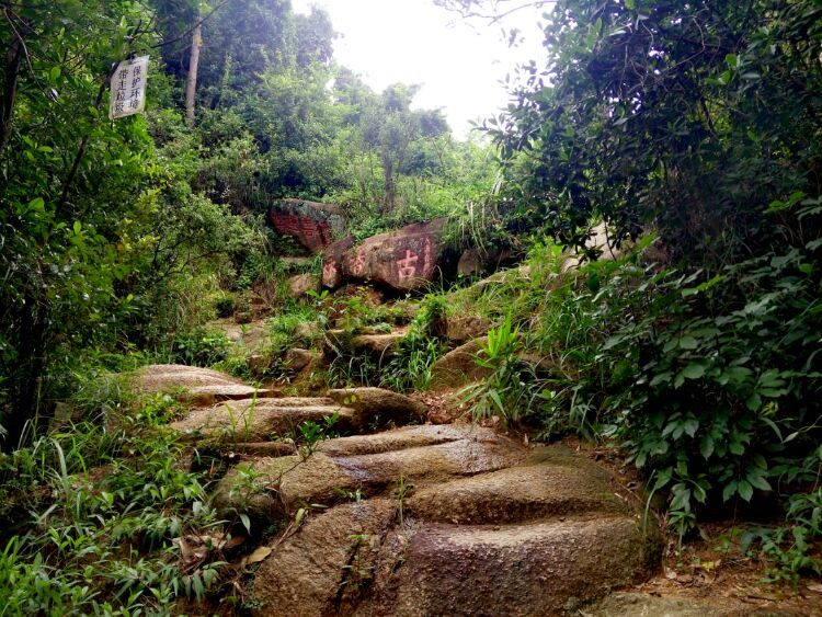 到中山的千年古刹古香林寺旧址周边山林探秘，感觉大自然太美啦
