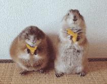 教大家如何用牙膏,牙膏怎么催眠