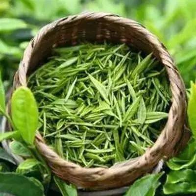 婺源绿茶,婺源绿茶千元以上啥茶