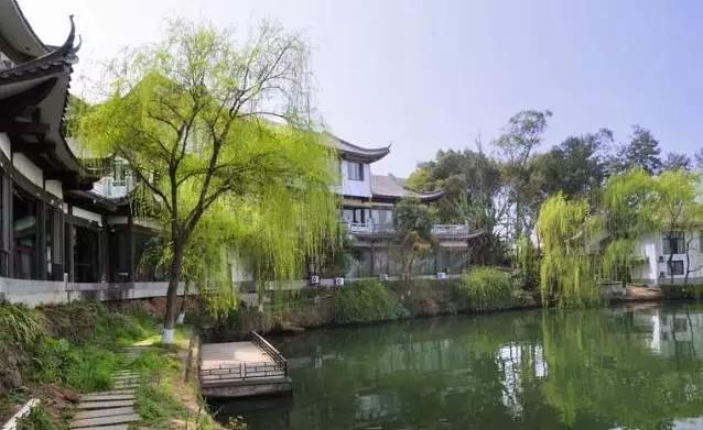 成都附近一小时氧吧,成都周边森林免费氧吧推荐