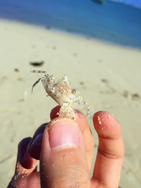 毛里求斯7天5晚自由行,毛里求斯旅游自由行价格