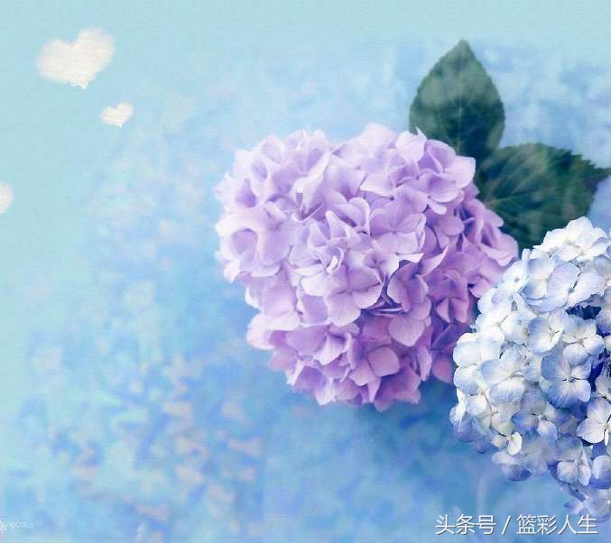 足球4串1今日推荐,足球4:4的比赛