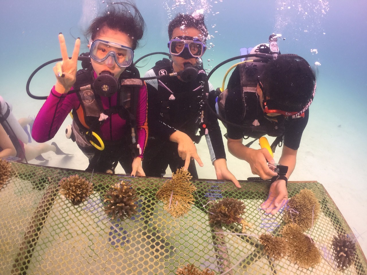 到底辣妈们在马布海洋日有多惬意？看视频就知道了！