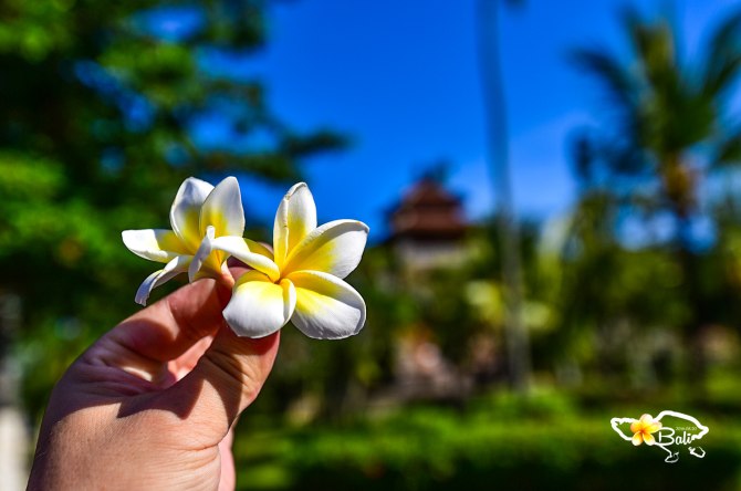 夏日国外巴厘岛避暑旅游推荐,巴厘岛夏天的风景
