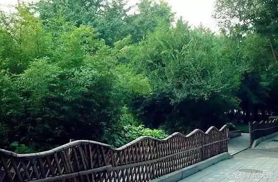 京津周边游玩景点推荐,京津冀附近人少风景好的旅游胜地