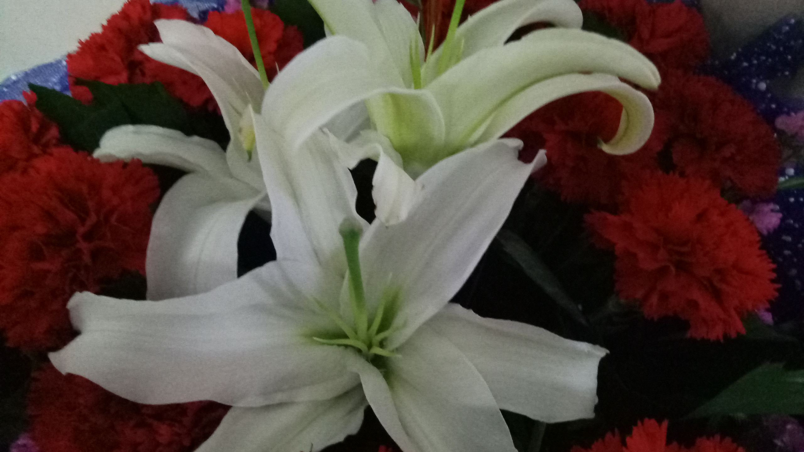 康乃馨勿忘我干花花束,康乃馨鲜花怎么晾干做成干花