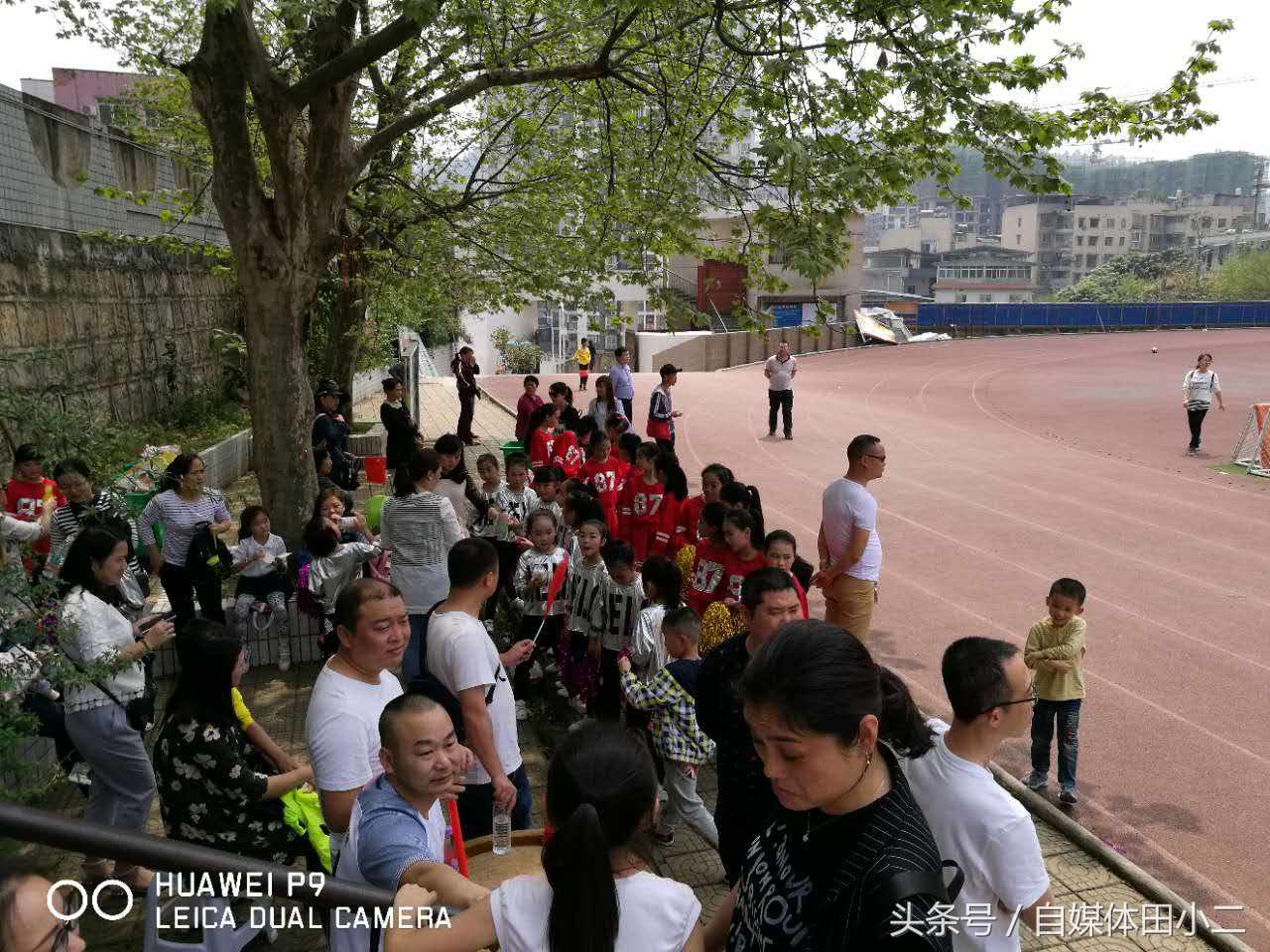 雏鹰联赛,雏鹰展翅比赛