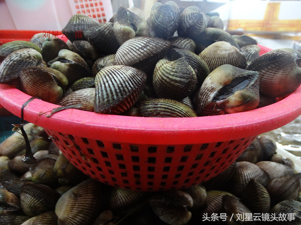 三亚哪里海鲜市场的品种多,三亚海鲜品种大全及介绍