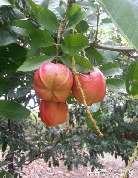 这五种美食吃的时候千万要小心，看了第一种就觉得农村太危险