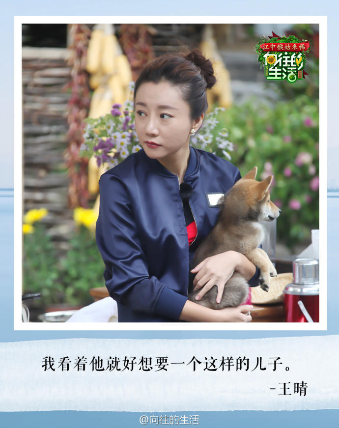 向往的生活我们来了,向往的生活我们来了图片