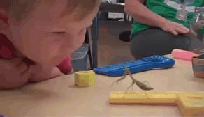 搞笑gif女汉子打起架来拦都拦不住,流氓会武术谁也挡不住