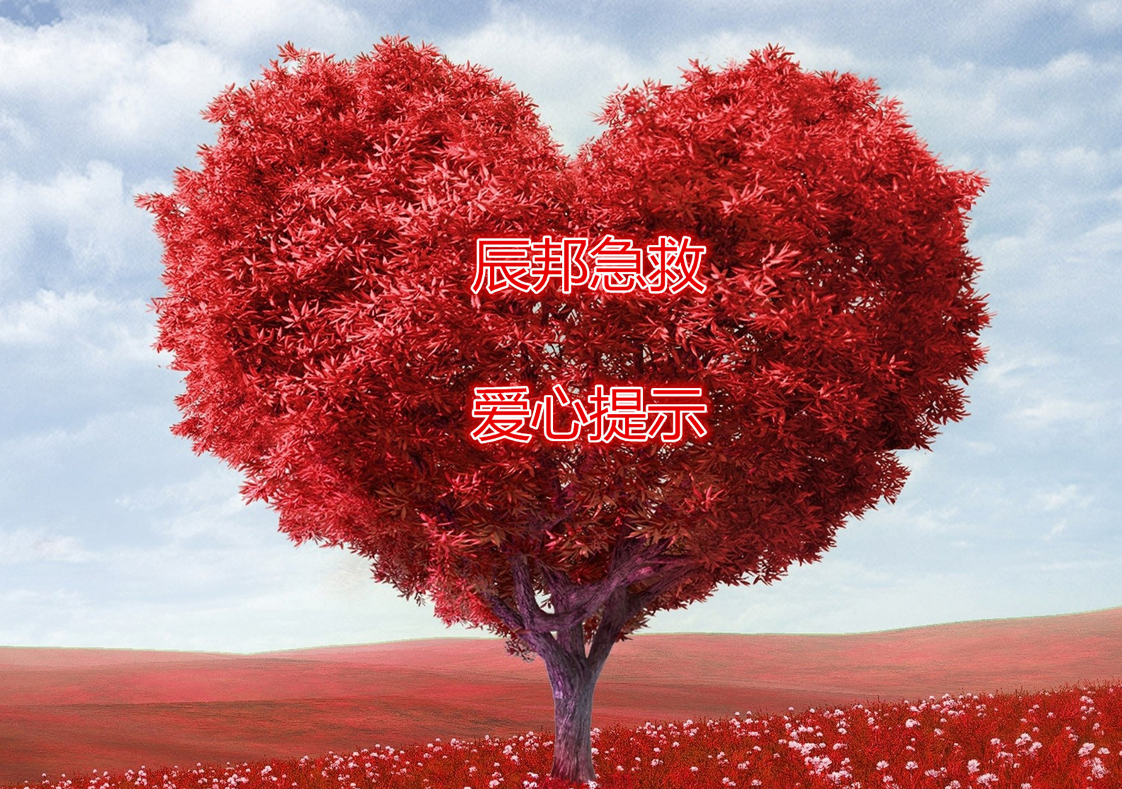 敌敌畏中毒解救的药物,敌敌畏中毒以后正确的处理方法是