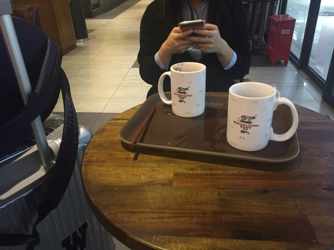 新款阿特兹西藏自驾游,国内阿特兹旅行版