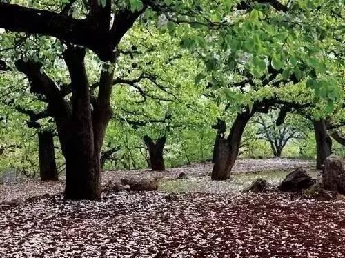 唐山国家级旅游度假区,唐山最好的旅游小镇