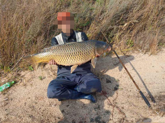 鱼拓手竿,钓巨型鱼手竿