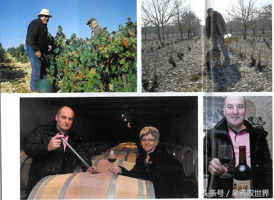 黑酒古法酿制技艺,法国三个工匠葡萄酒