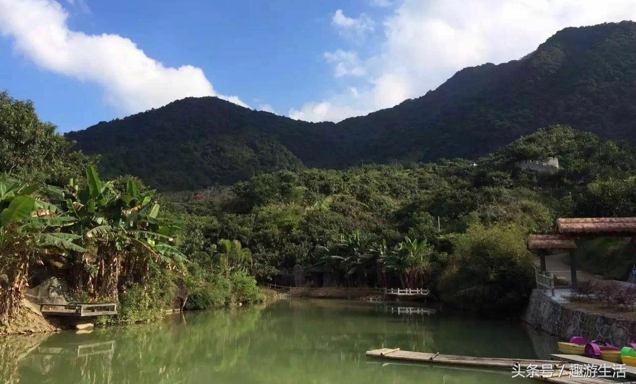 珍稀果种嘉宝果,珍稀福冈嘉宝果