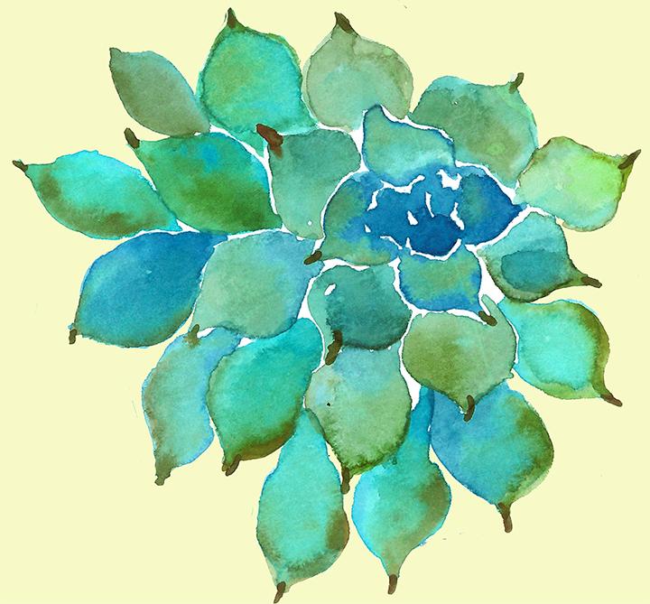 多肉植物如何防治病害,多肉植物病害处理视频