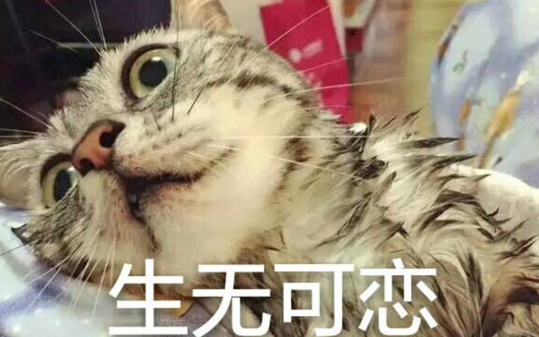 颈椎不好的每天坚持10到二十分钟,早睡早起对颈椎恢复有帮助吗