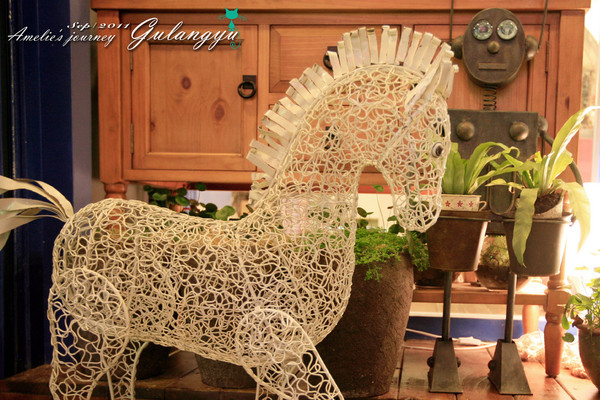 鼓浪屿旅行攻略大全,鼓浪屿旅行攻略大全最新