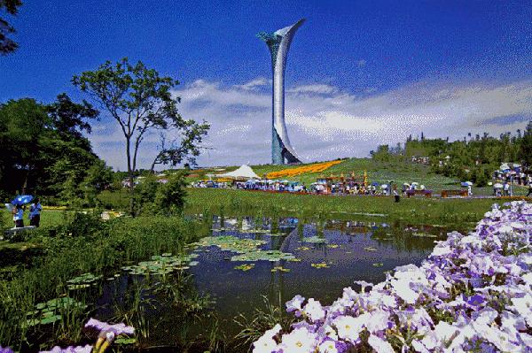 沈阳自贸区新店 (沈阳自贸区折扣仓在什么地方)