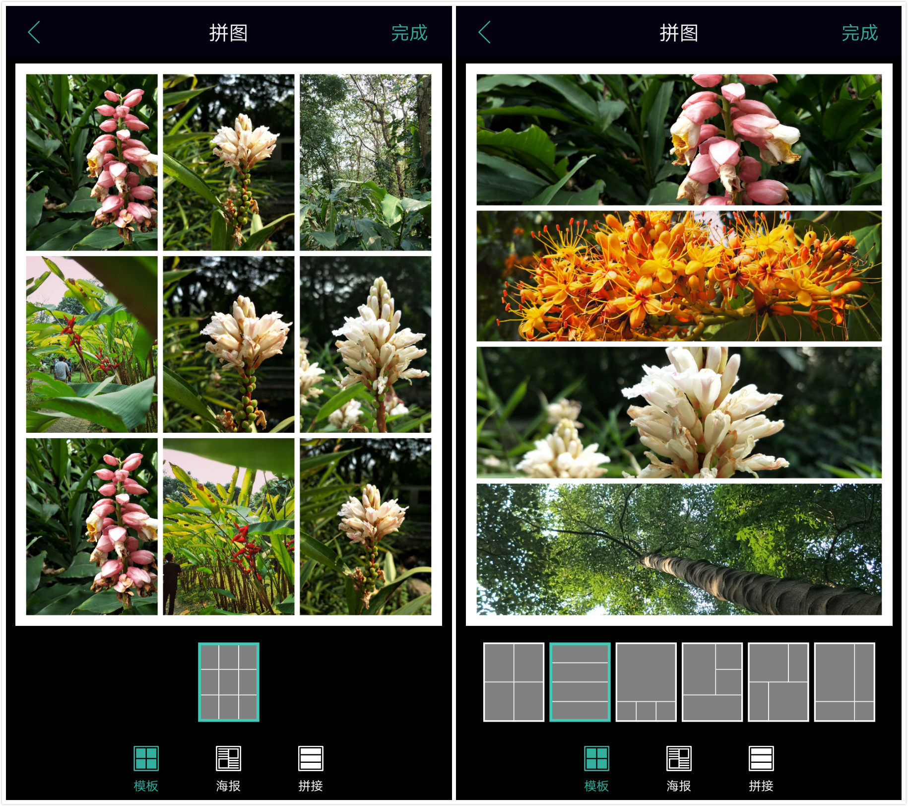OPPO相册隐藏功能,oppo相册功能太少了怎么办