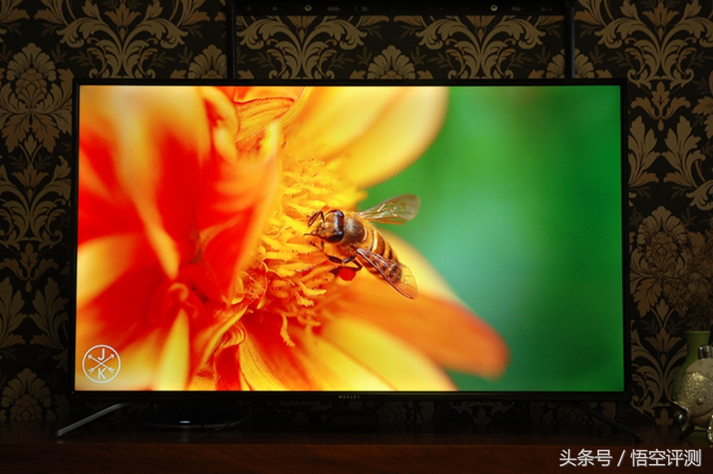 微鲸42寸电视,微鲸电视55英寸