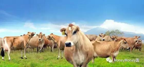 辉山怎么了,身在漩涡中