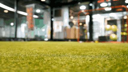 一站「众」享，初春马甲线养成记