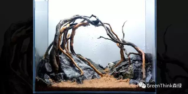 水草缸造景大师视频大全,水草造景大师
