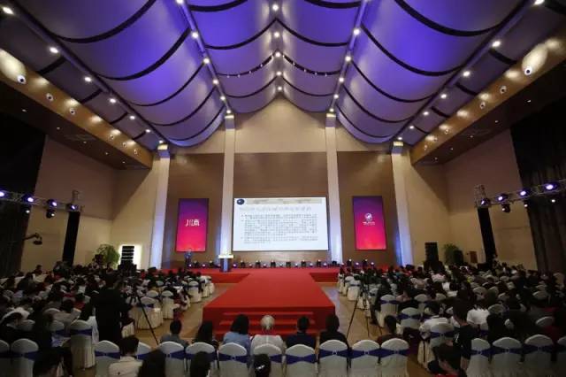 魅力女川商年度盛典,2017魅力女人风尚大赛冠军