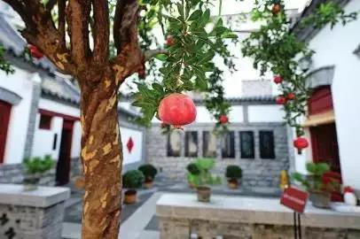 济南春游的好地方推荐,济南适合春游的地方