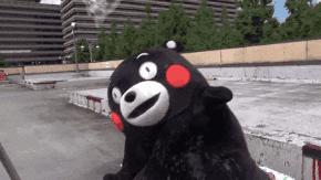 请柬该怎么发,请柬怎么发给明星