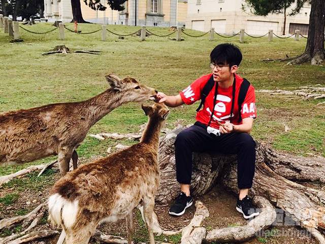 最爱穿西服的王经理,为什么会被白老板带去泰国旅游呢?