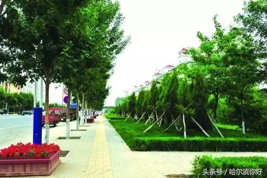 哈尔滨市香坊区发展得好吗,哈尔滨要发展起来了