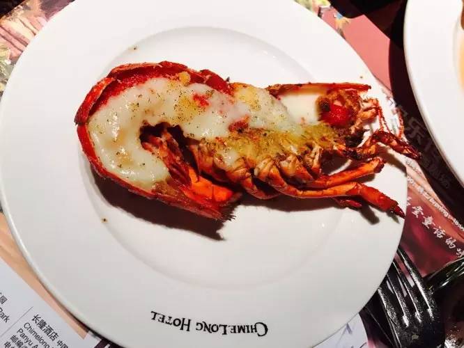 长隆野生动物园自驾游导游,广州长隆野生动物园有导游吗