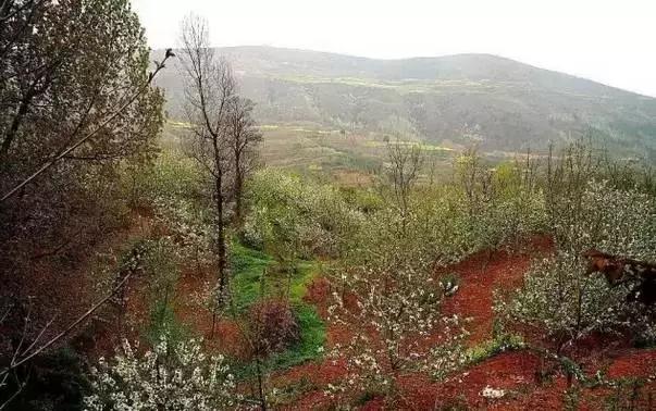 不亚樱桃沟、赛过杏花谷的洪庆墨玉河竟然没多少人知道！