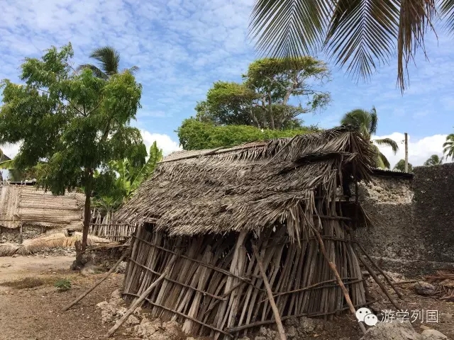 一生必去一次的非洲坦桑尼亚｜回归狂野
