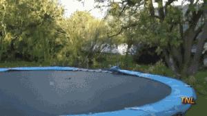 女生生西瓜,妹子吃冰镇西瓜拉肚子