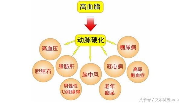 为何瘦的也有高血脂,长得瘦也是因为体脂低吗