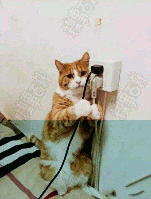 黄易作品评论,神评论不信谣不传谣