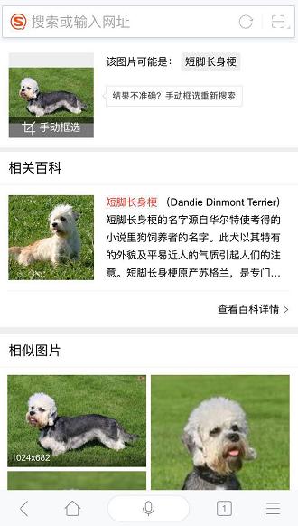 测颜龄、测魅力值搜狗图像识别技术在菠萝科学节这么玩