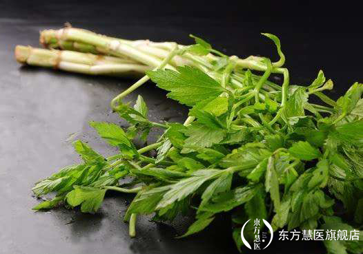 也许你见过,但是你未必能叫出来的野菜,药用价值相当的高