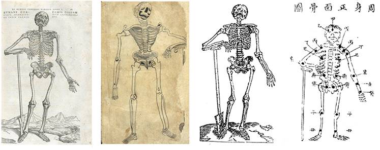 古今中外绘画欣赏,解剖全国绘画优秀作品