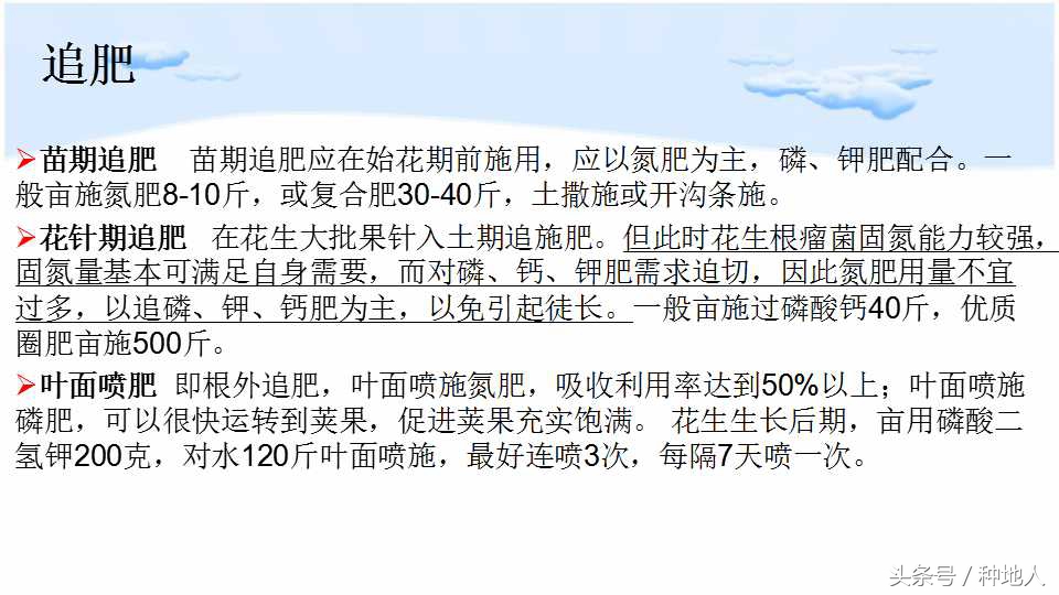 已经开始种花生了怎么种,马上要种花生了