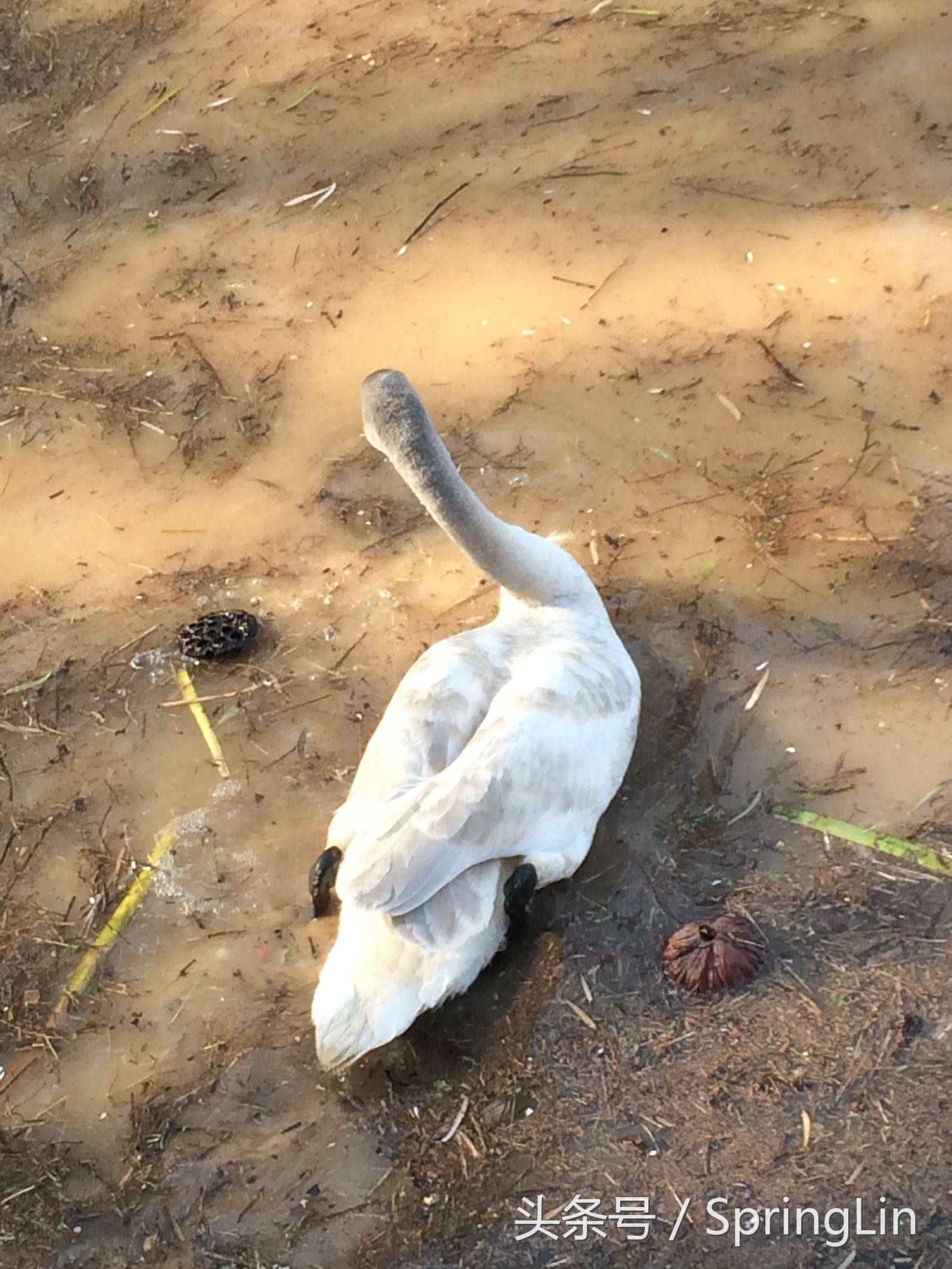 三门峡豫西大峡谷旅游攻略,豫西三门峡全景图