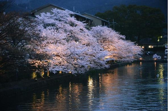 春季手机摄影大赛,摄影有哪些大赛