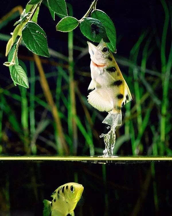 重庆适合小盆友去玩的海洋公园,重庆适合成年人玩的海洋公园推荐