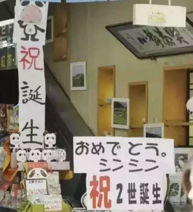 荷兰迎接中国大熊猫,大熊猫在国外有警车开道